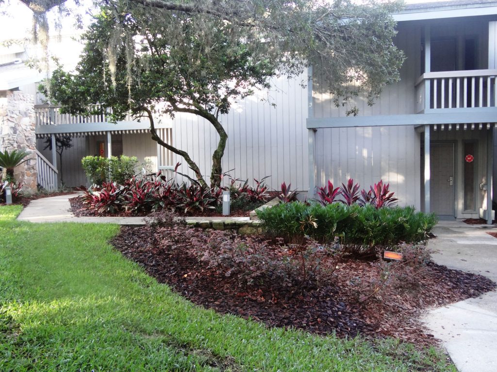 A front entrance to a condo, freshly planted and mulched